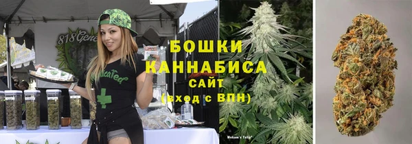 ГАЛЛЮЦИНОГЕННЫЕ ГРИБЫ Алексин