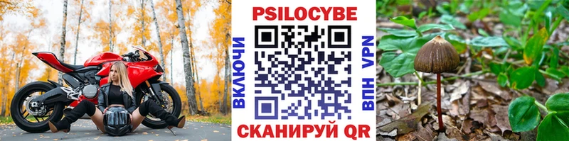 Галлюциногенные грибы мицелий  Ефремов 